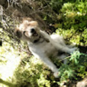 Meet your Posher, Stargazer